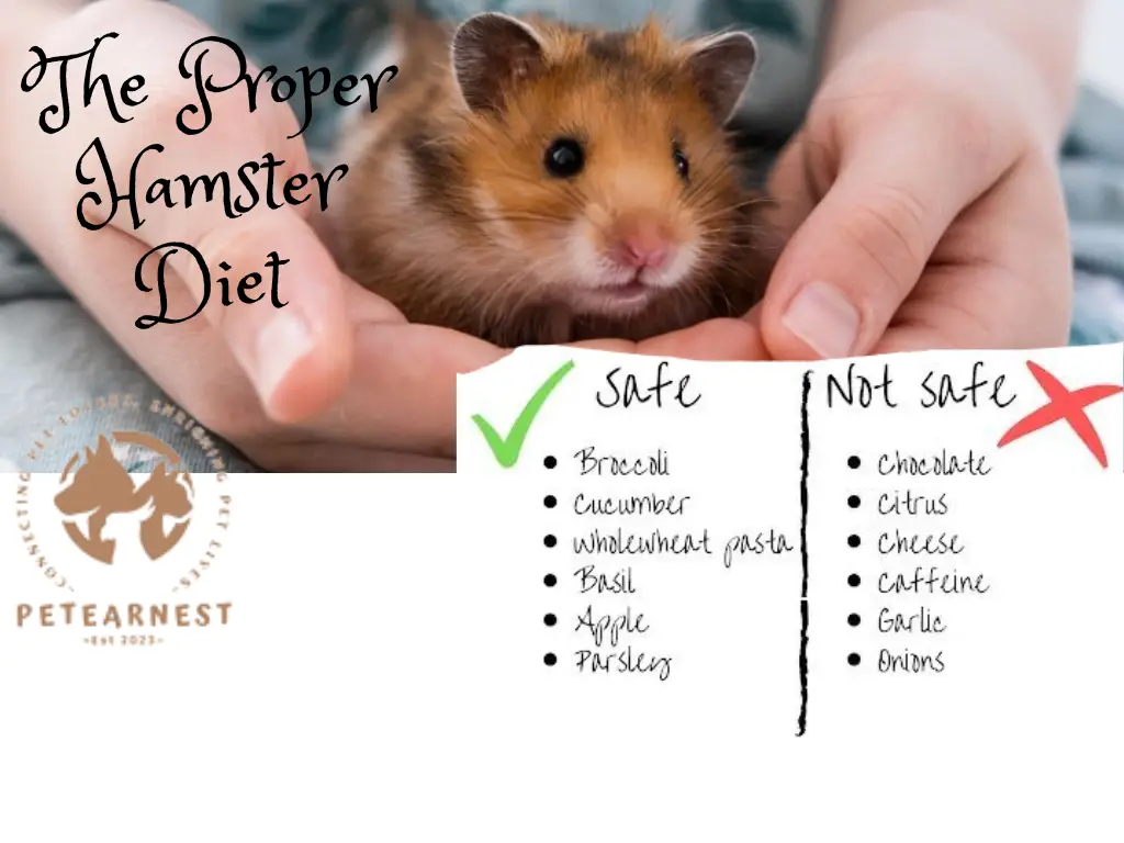 Can Hamsters Eat Arugula? Healthy or Harmful? - The Proper Hamster Diet