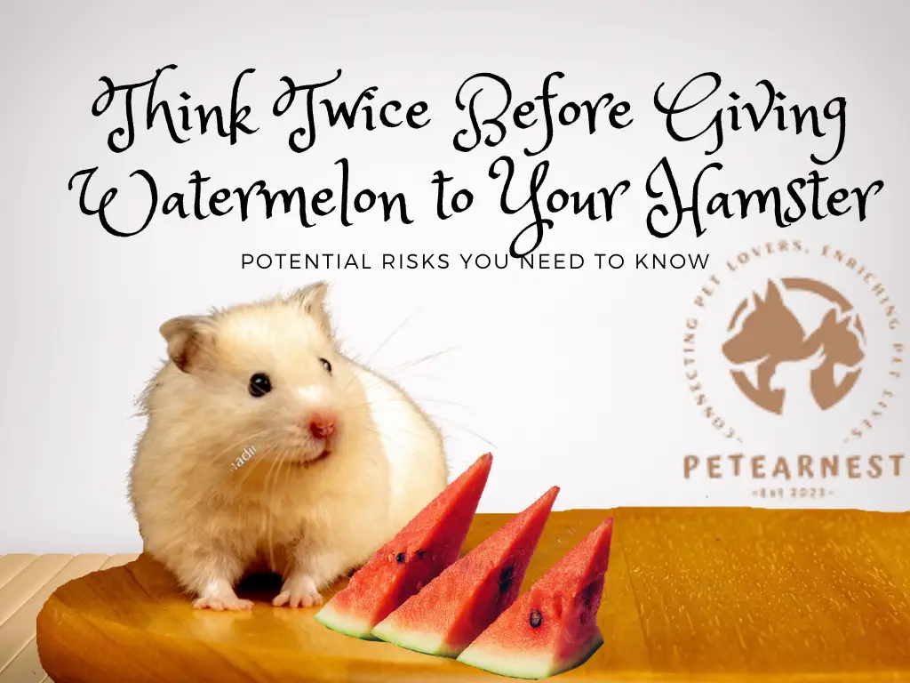 Can Hamsters Eat Watermelon?