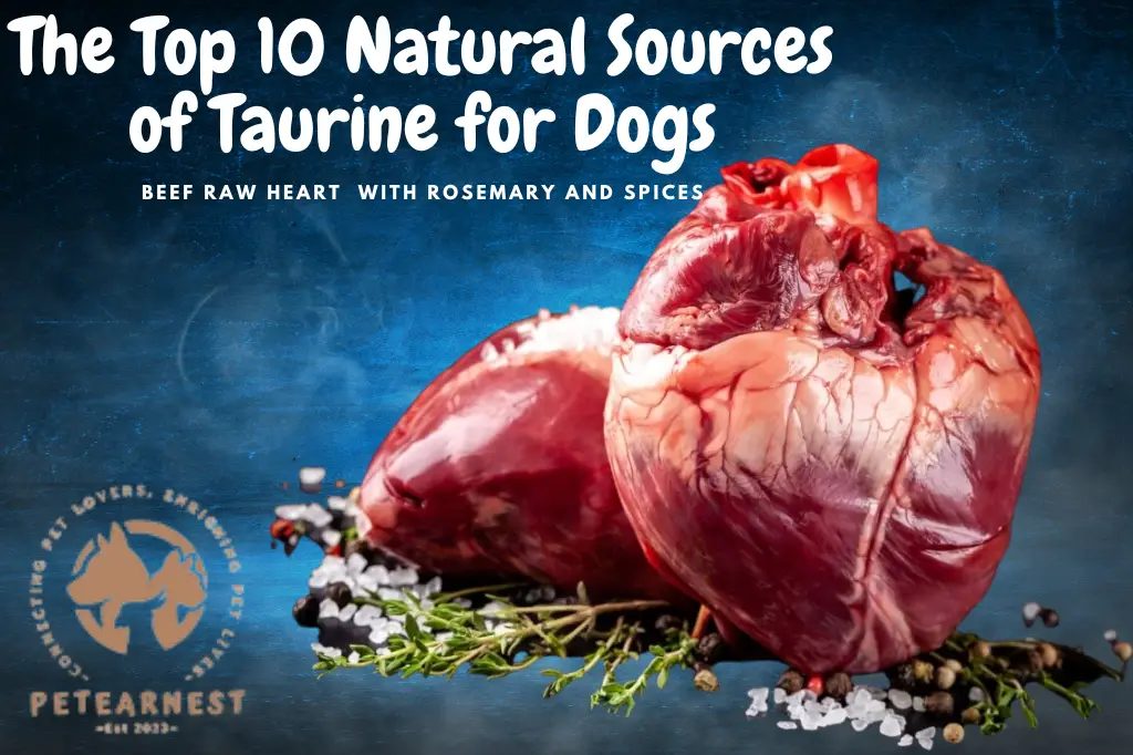 The Top 10 Natural Sources of Taurine for Dogs - Organ Meat