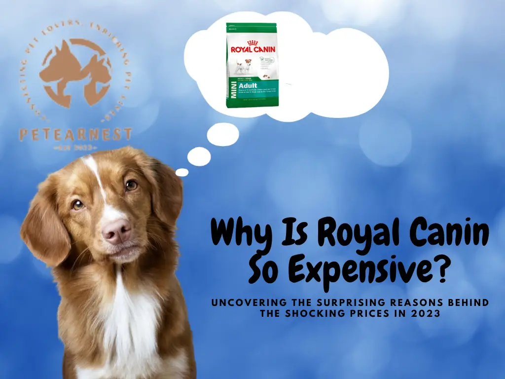 why-is-royal-canin-so-expensive-uncovering-the-surprising-reasons