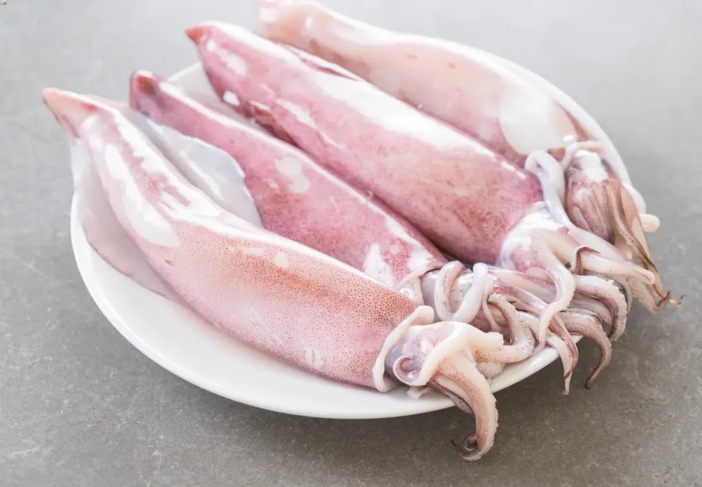 The Top 10 Natural Sources of Taurine for Dogs - fresh Squid