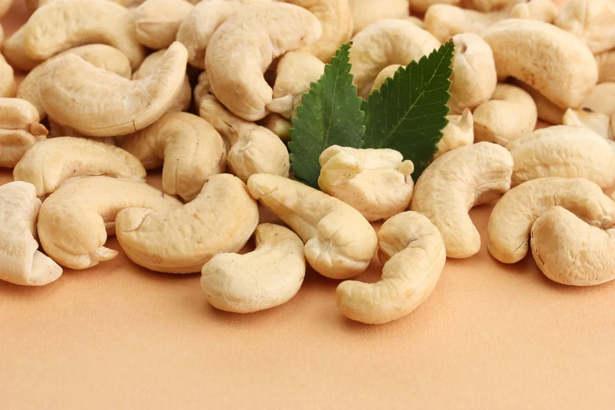 Can Cats Eat Cashews? What Cat Lovers Need To Know Story 