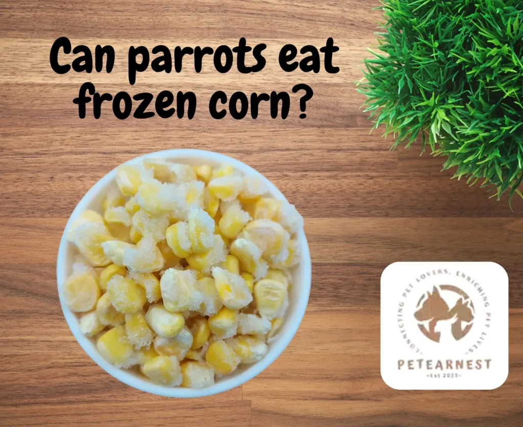 Can Parrots Eat Corn?