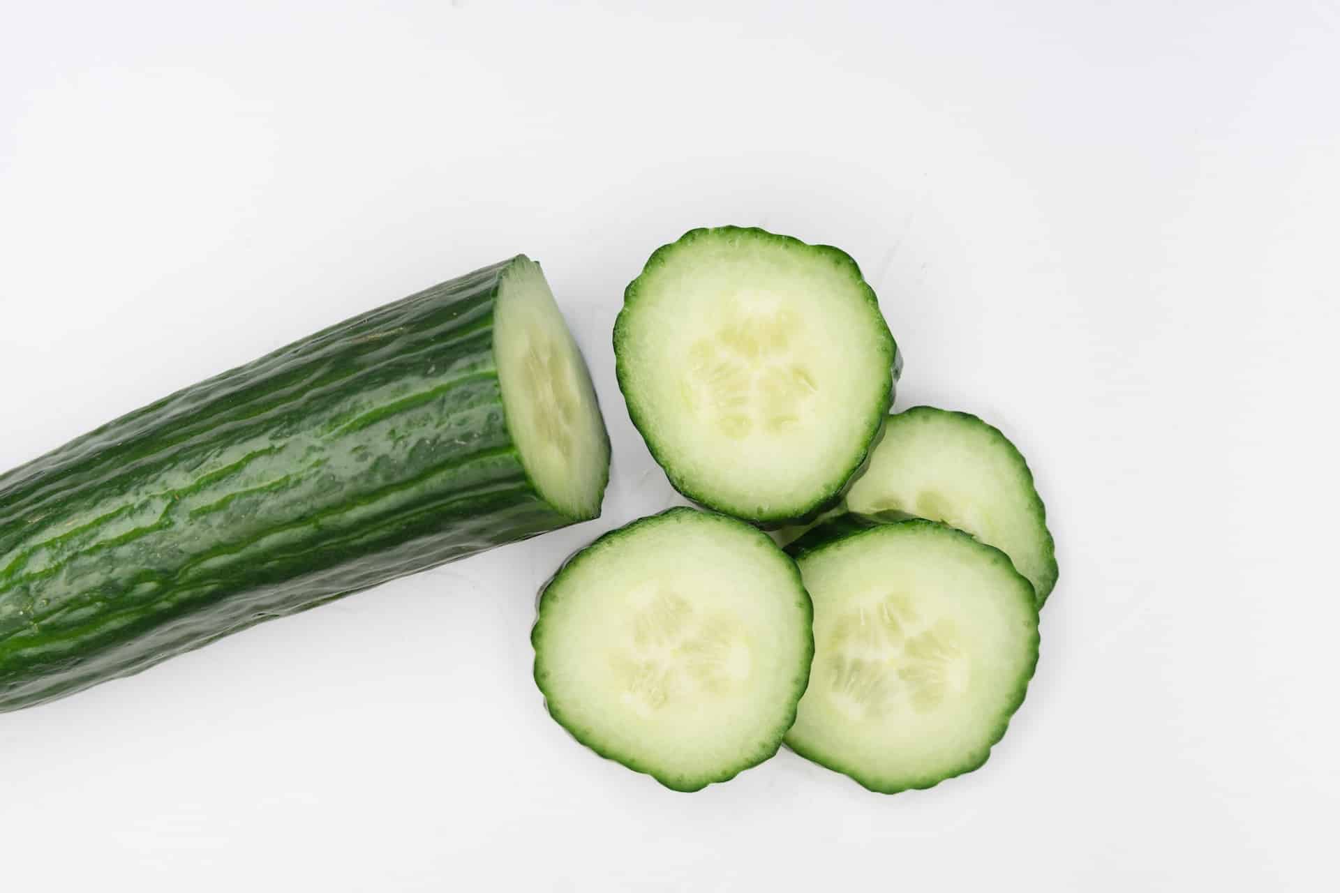 Can Cats Eat Cucumber? 