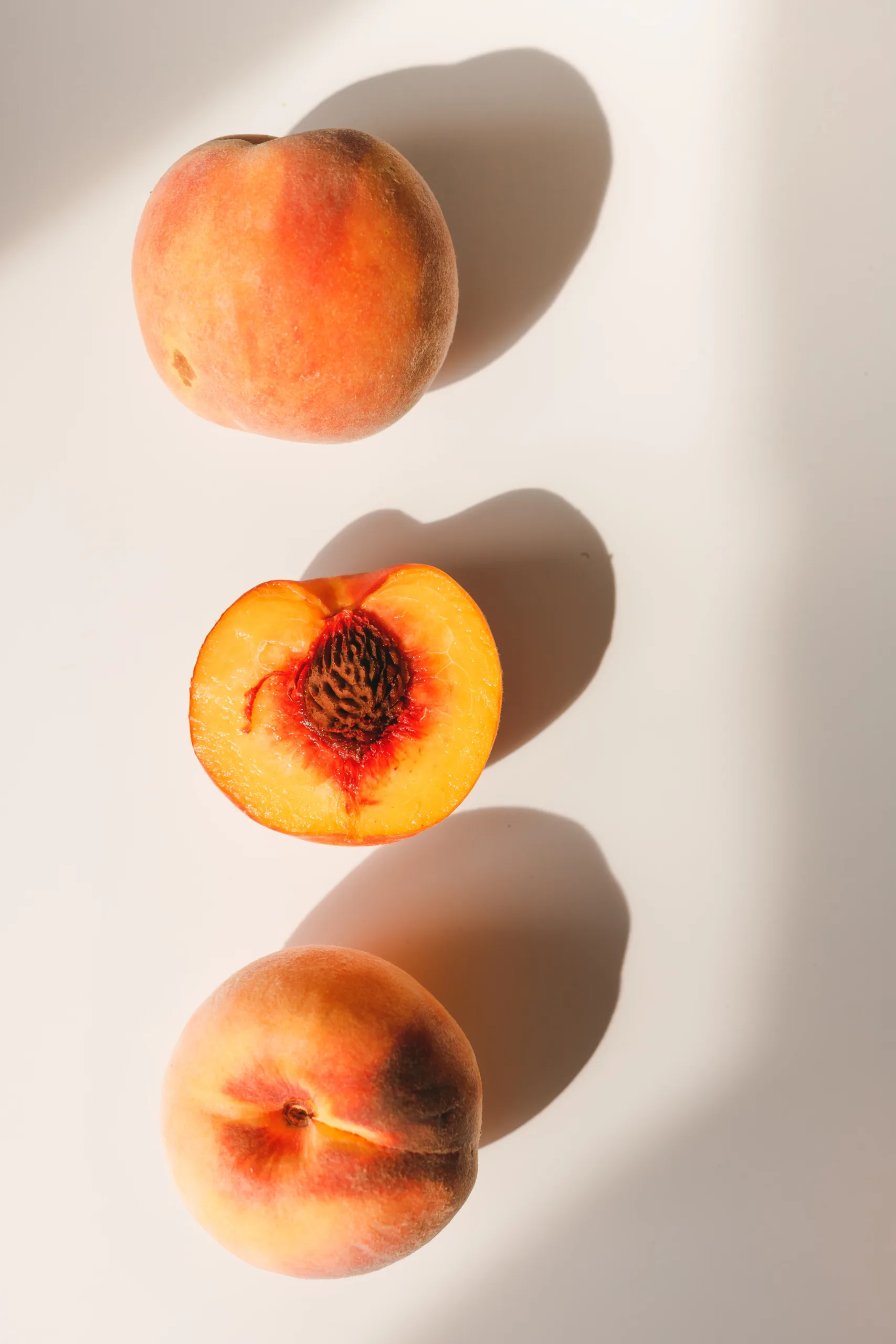 Can Dogs Eat Peaches? 