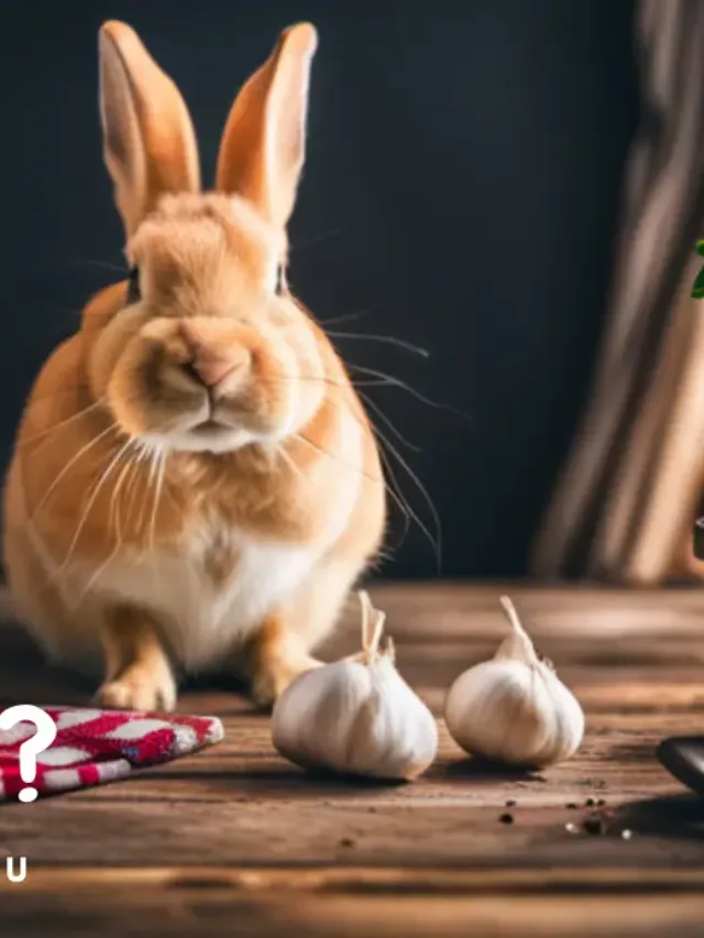 Discover the Truth: Can Rabbits Eat Garlic? 5 Surprising Facts You Need to Know Now!